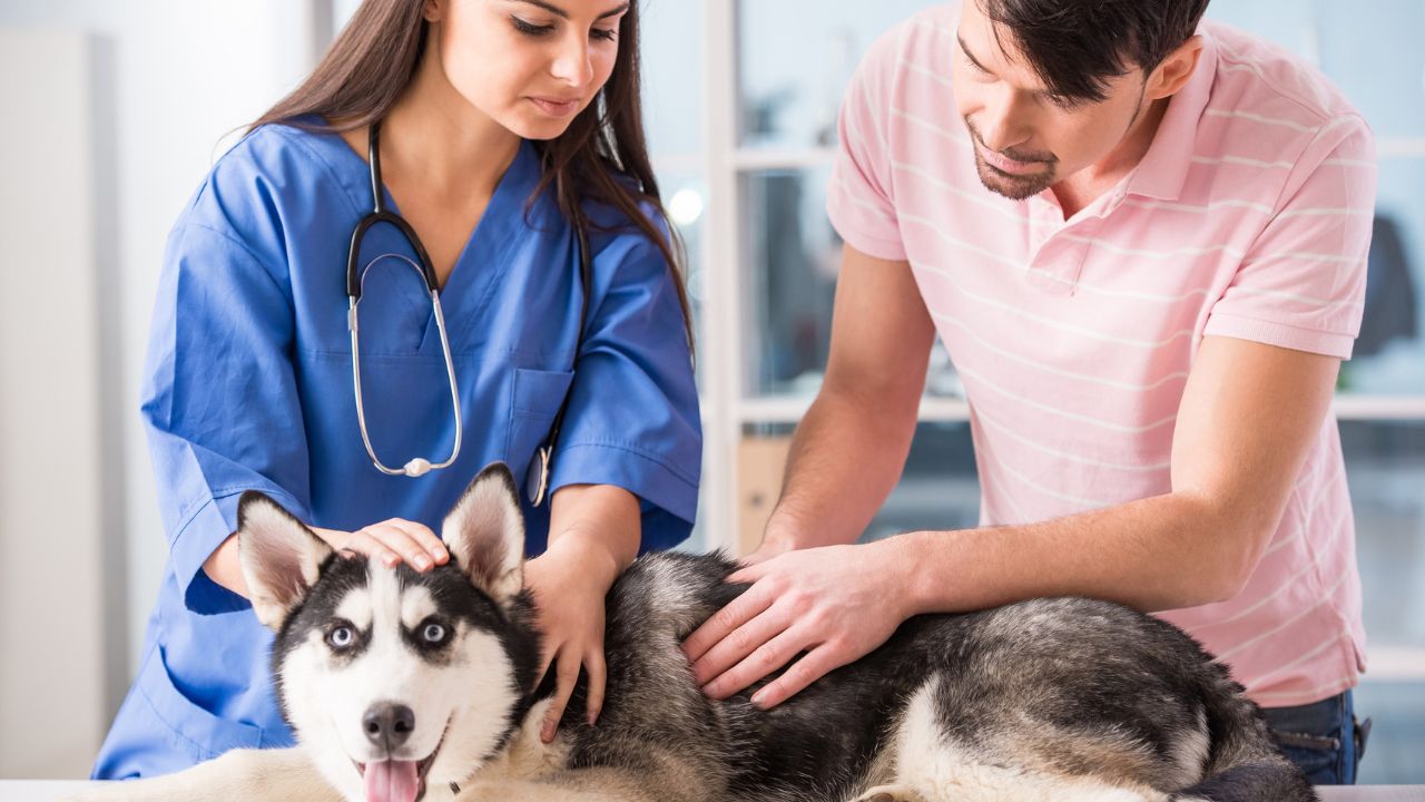 Assessing the Clinic's Location and Hours