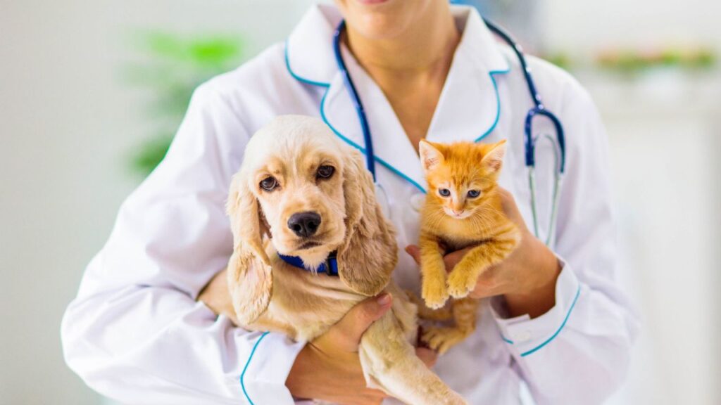 How To Choose The Right Close Veterinary Clinic For Your Pet