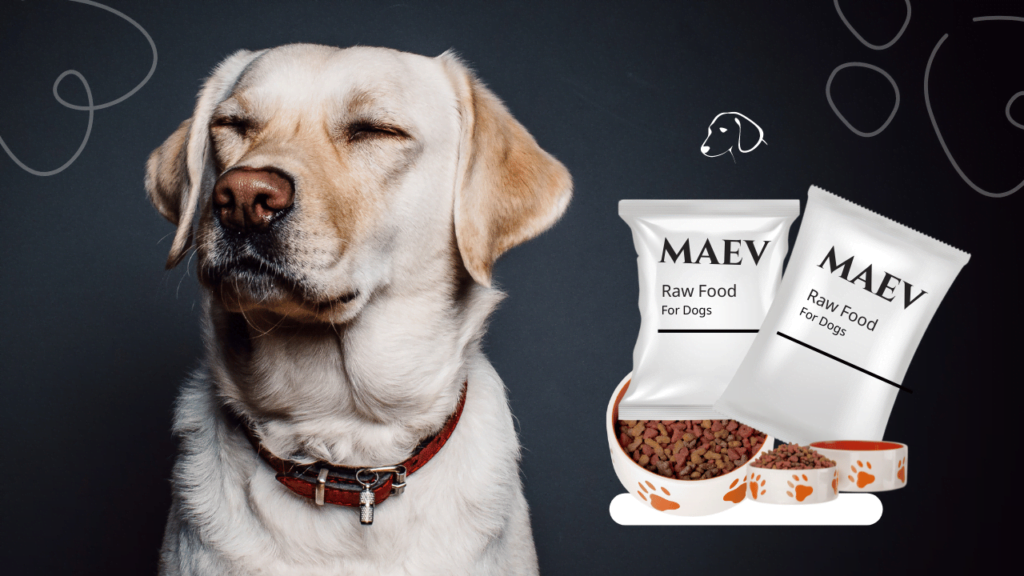 Maev dog food review