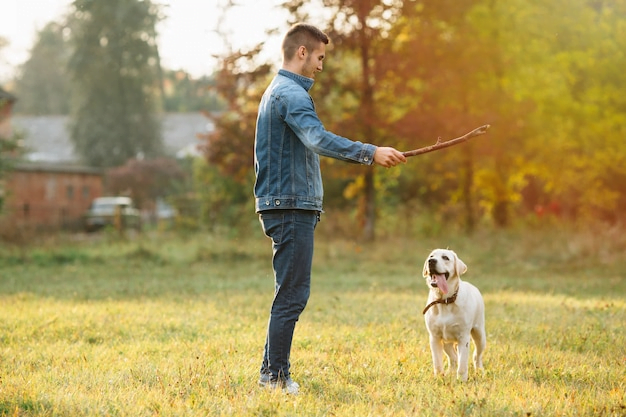 Techniques for quickly bonding and befriending dogs