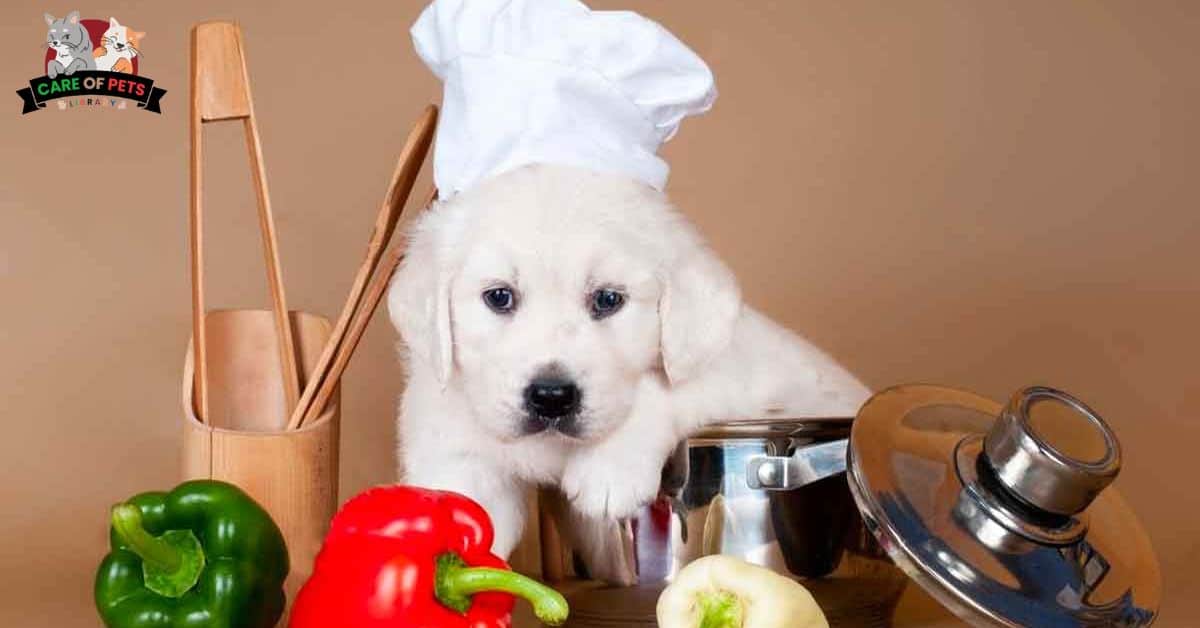 How to Safely Prepare Bell Peppers for Dogs