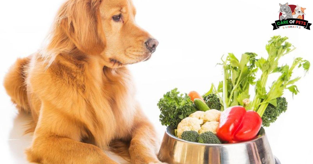 Is Broccoli Safe for Dogs