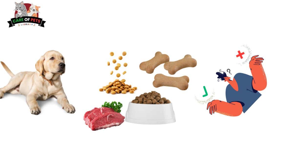 Types of Dog Food Their Pros and Cons