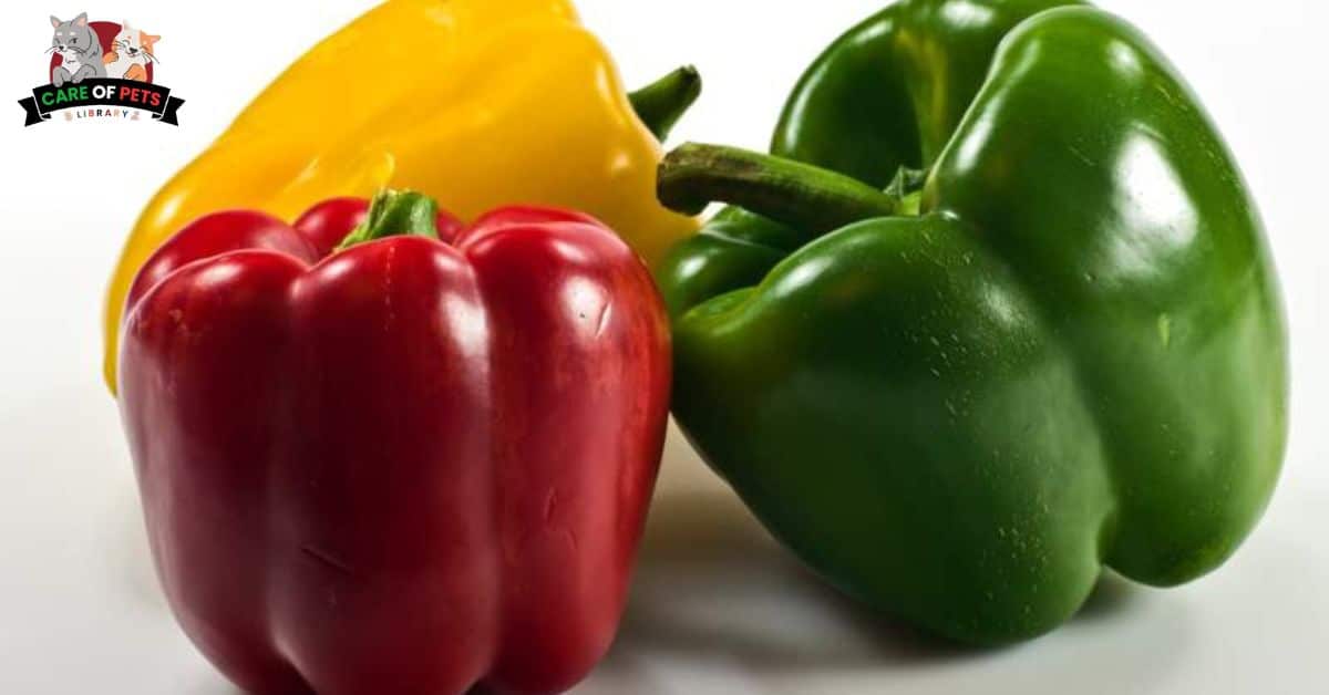 What Benefits of feeding bell peppers to dogs
