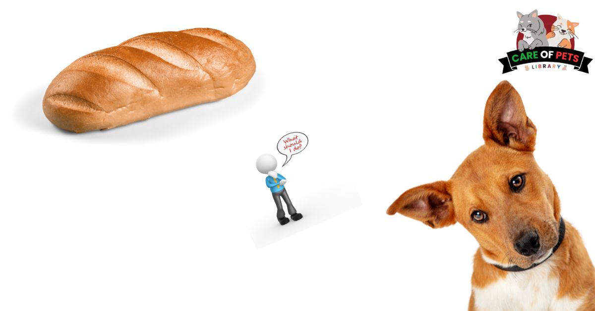 What Bread Should I Avoid Feeding My Dog