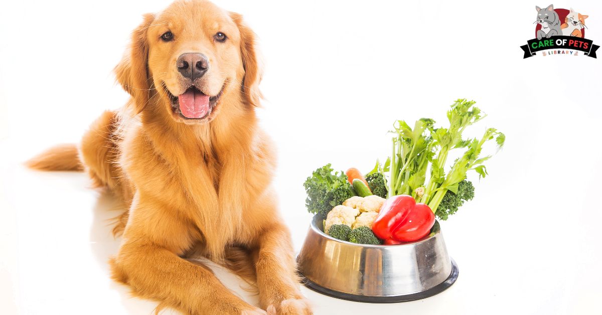 Which Foods Can Dogs Eat