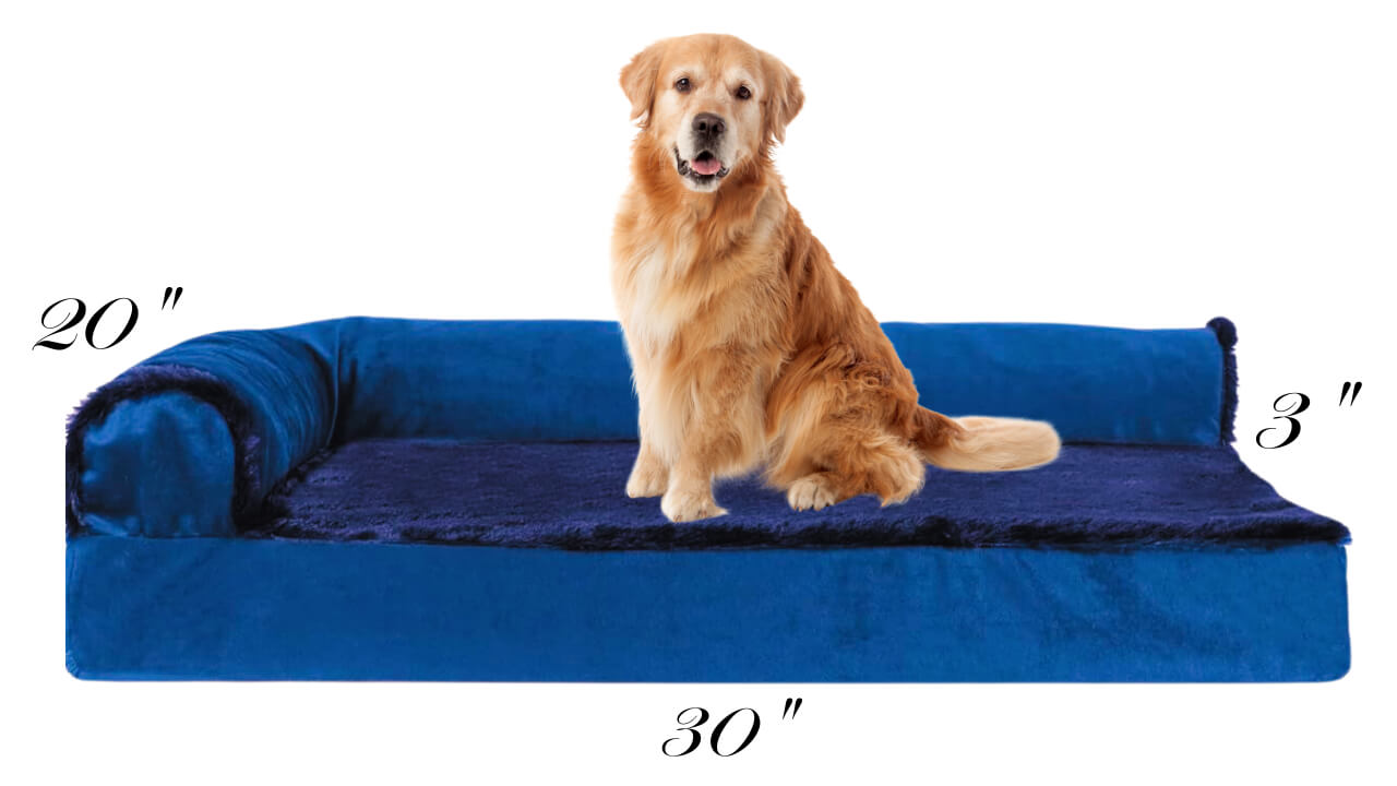 Furhaven Orthopedic Dog Bed Amazon products reviews