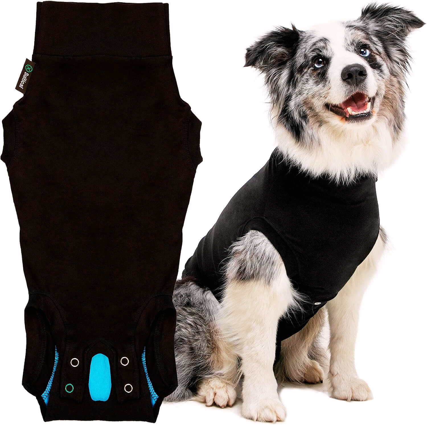 Recovery Suit for Dogs