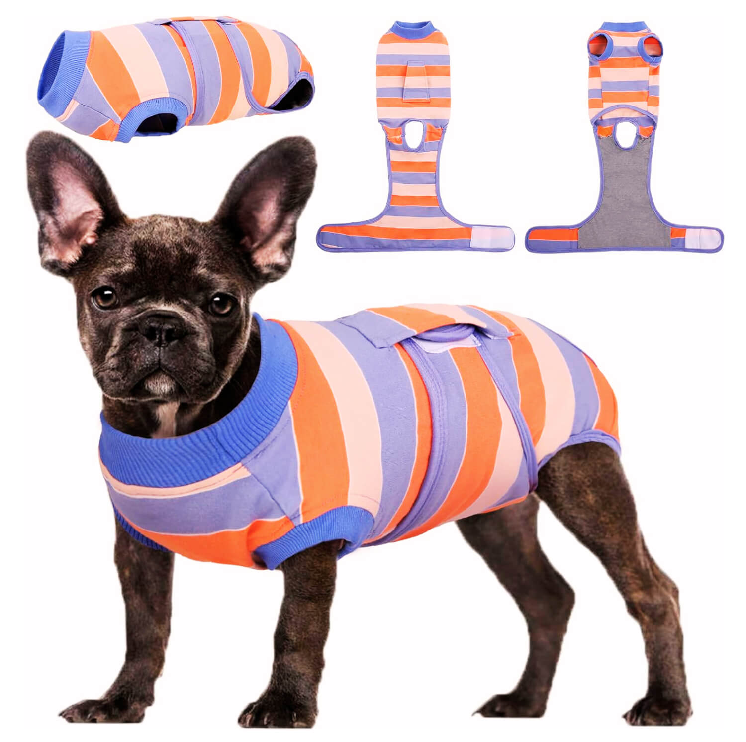 Kuoser Recovery Suit for Dogs