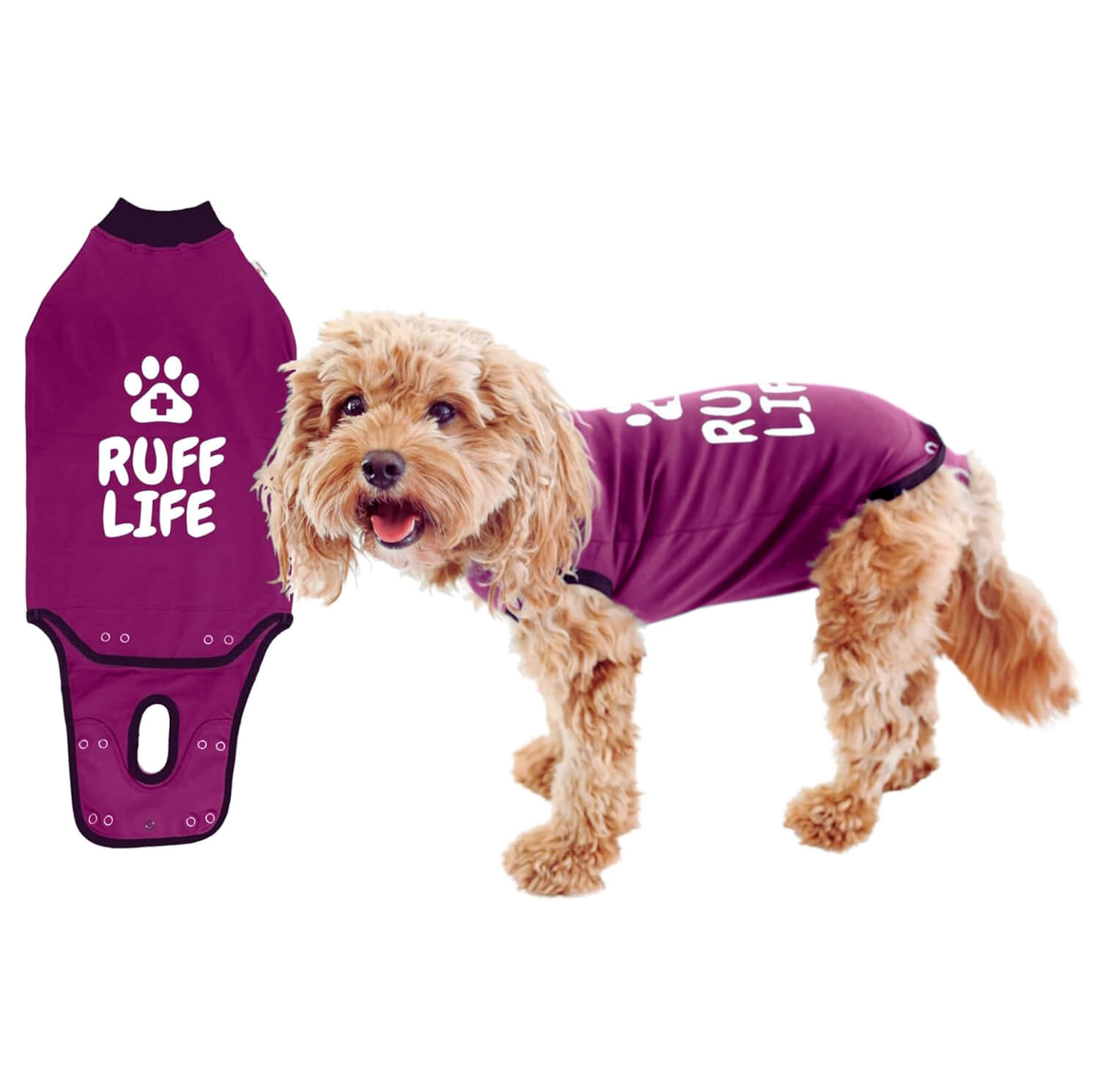 BellyGuard Recovery Suit for Dogs