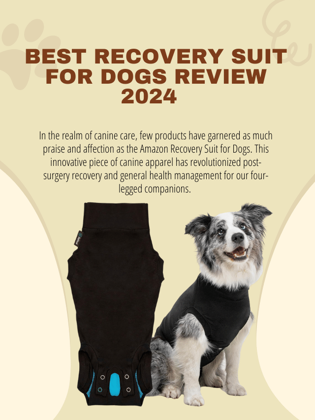 Best Recovery Suit for Dogs: Comprehensive Review 2024