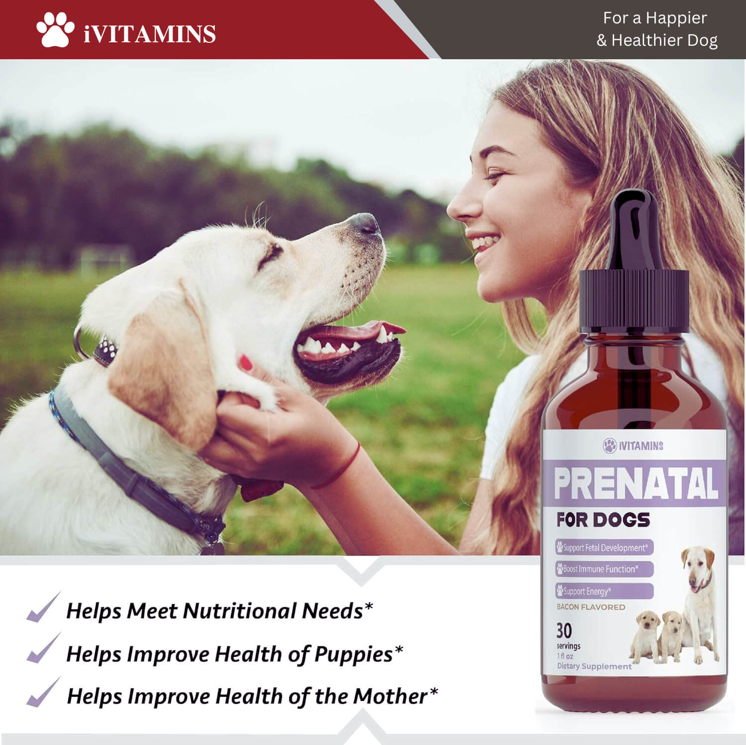vitamin b complex for dogs 
