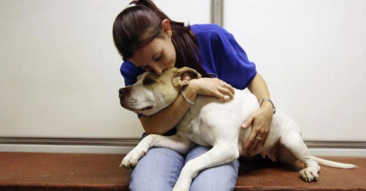 When to Euthanize a Dog With Heart Disease