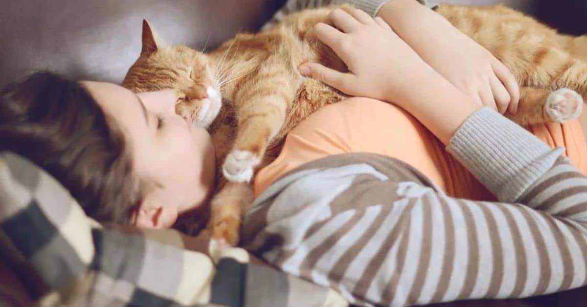 When to Put a Cat to Sleep With Hyperthyroidism
