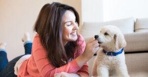 Golden Years for Pets Caring for Your Elder Pet Care