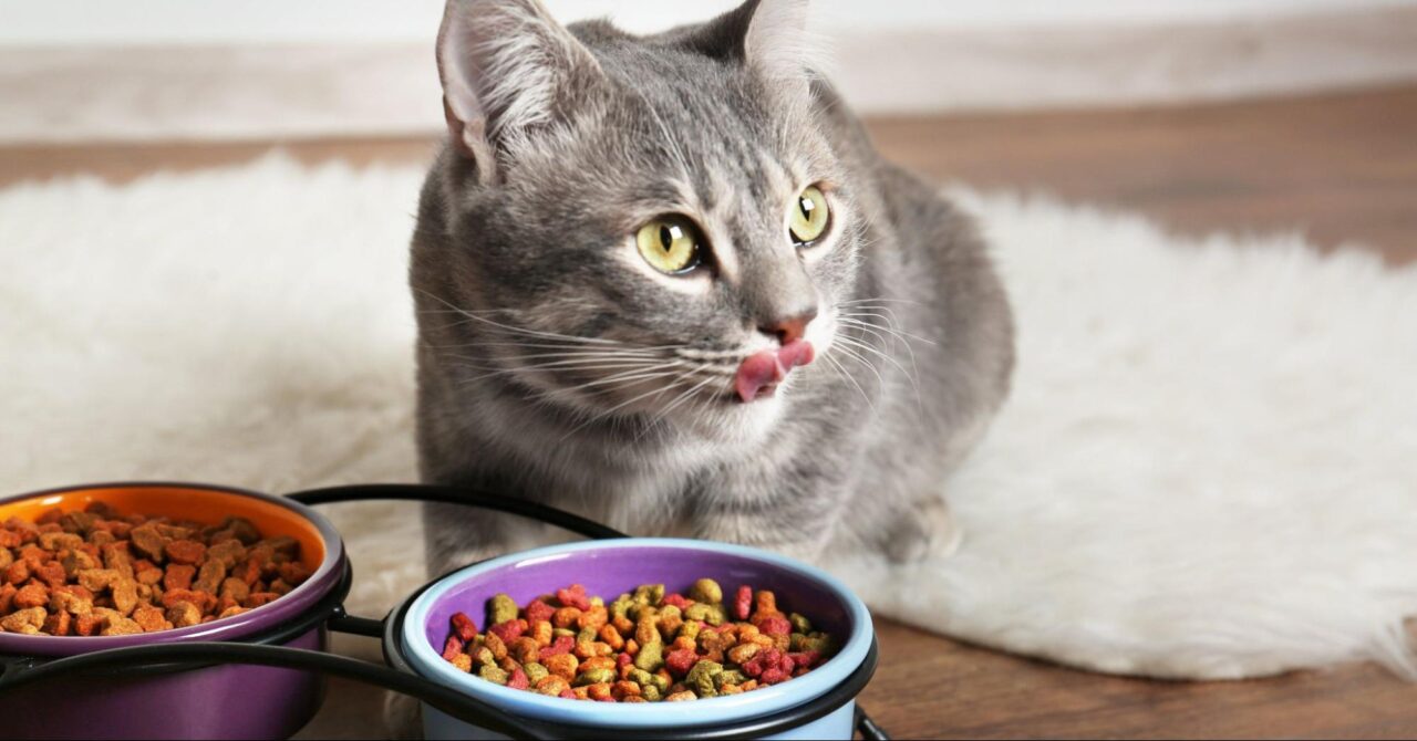 Grain Free Cat Food