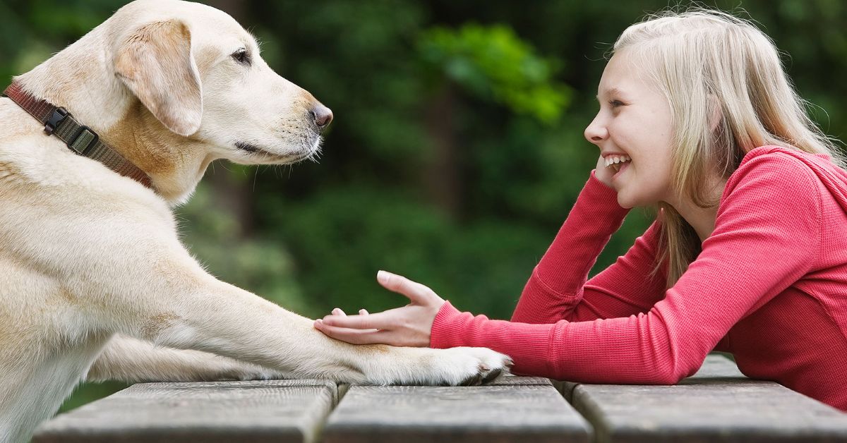 How Many Nipples Does a Dog Have Compared to a Cat